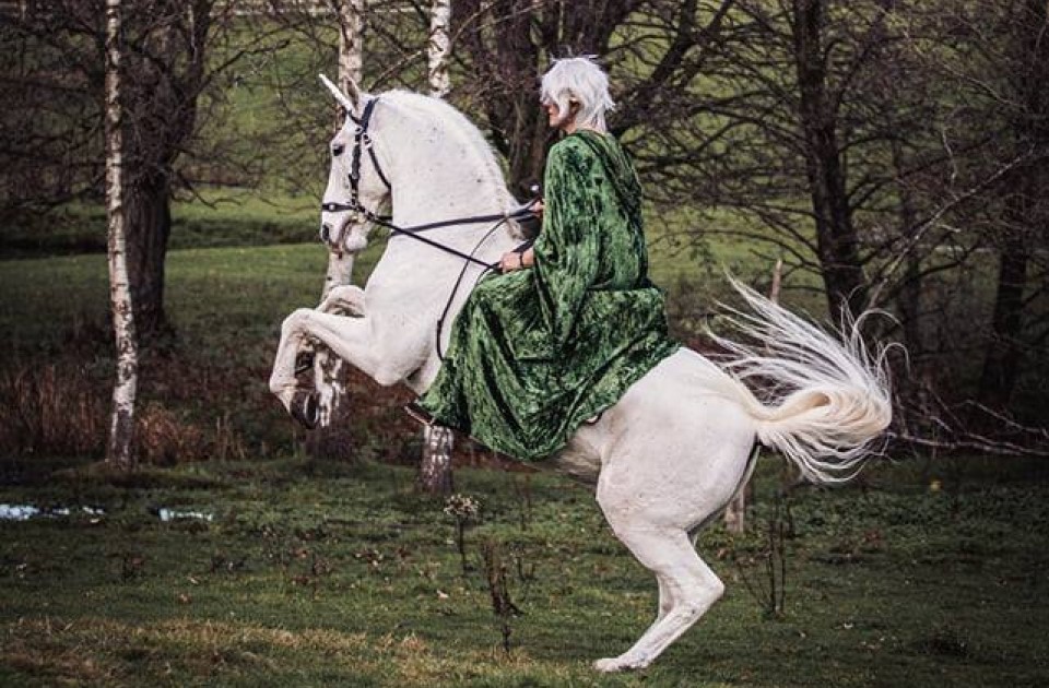 Home White Horse Wedding Hire